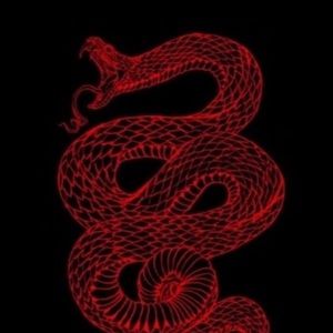 Meet your Posher, Ivana